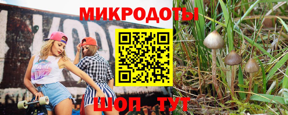 Кинель  Галлюциногенные грибы мухоморы  Вход с VPN 