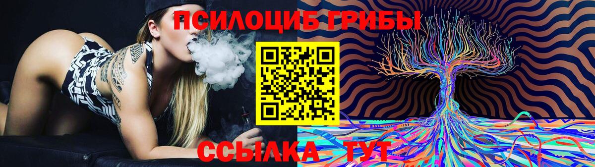 Галлюциногенные грибы прущие грибы Кинель